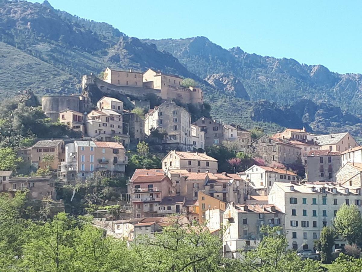 Charmant Studio Dans Residence Neuve Et Calme Corte  Dış mekan fotoğraf